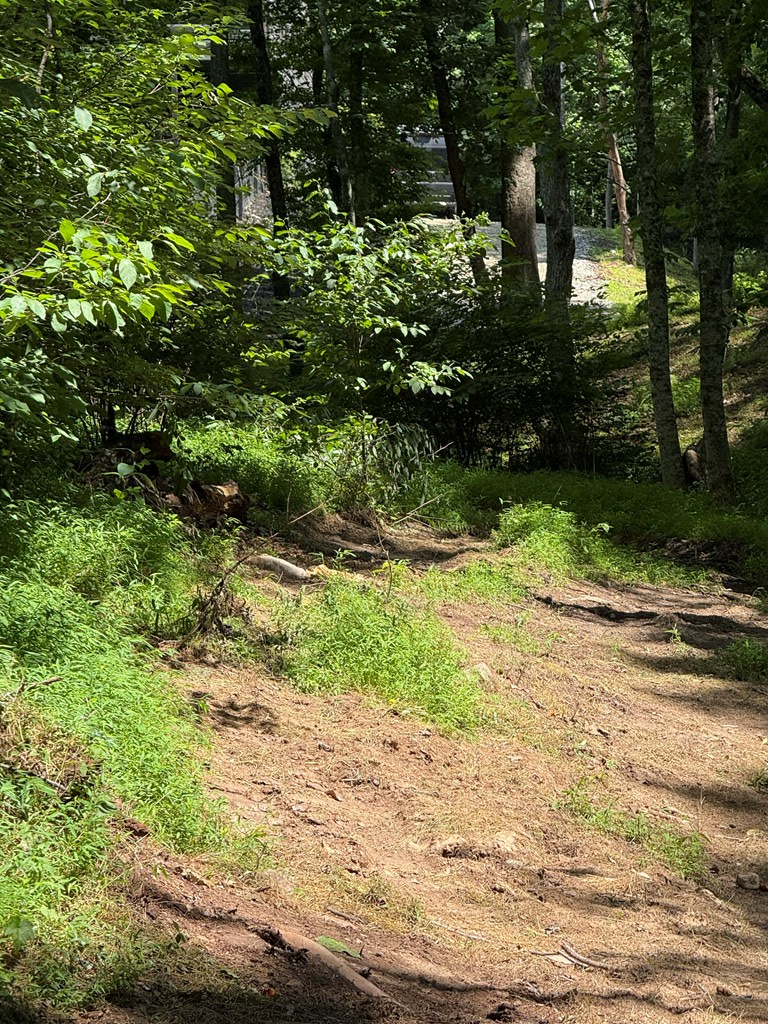 79 Star Creek Court Property Photo 9