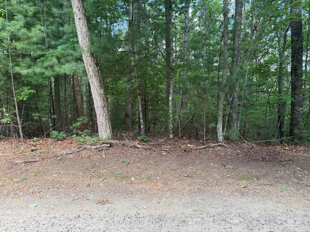 0 Guy Eller Road Property Photo 1