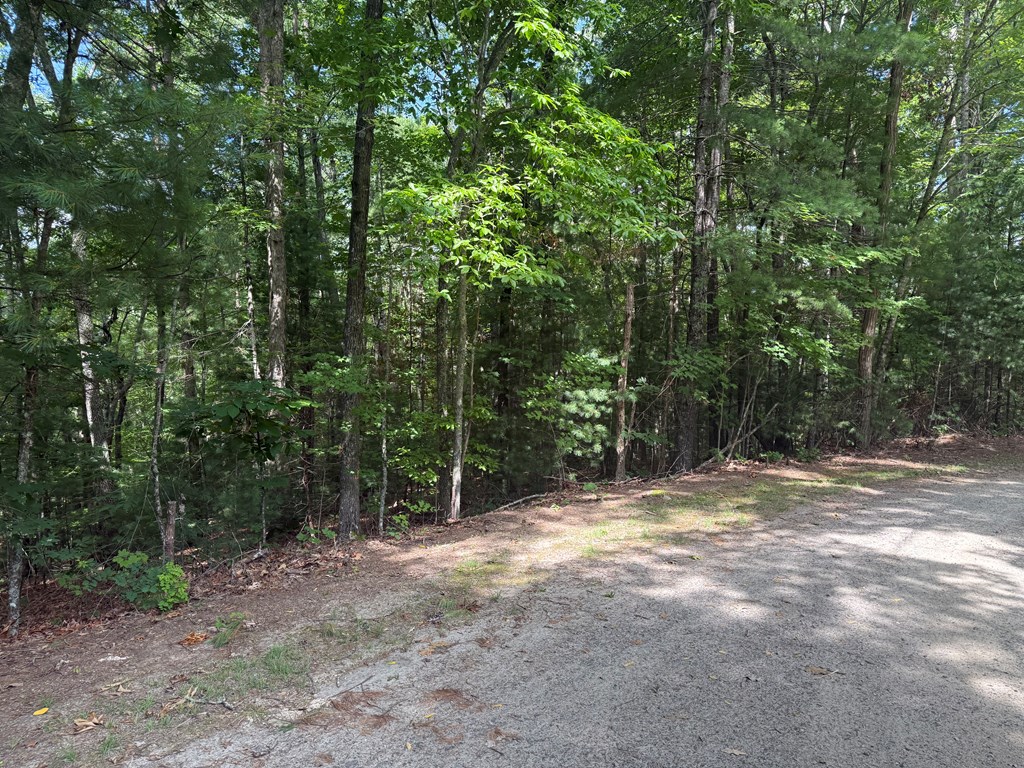 0 Guy Eller Road Property Photo 3