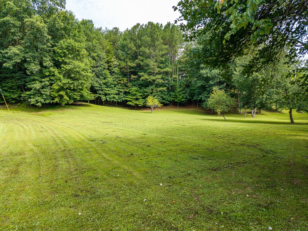 1347 Ivy Log Drive Property Photo 5