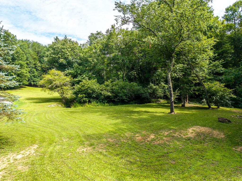 1347 Ivy Log Drive Property Photo 48