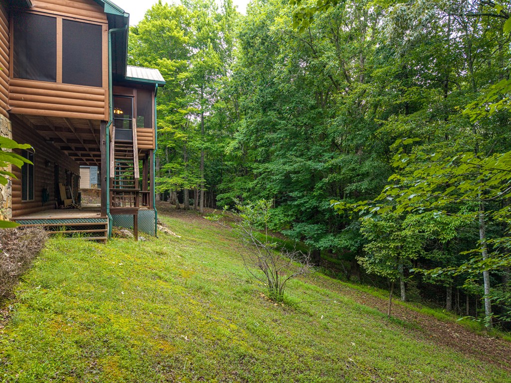 1347 Ivy Log Drive Property Photo 49