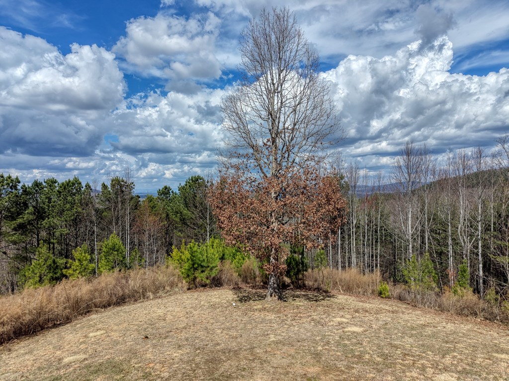 72/73 Summit Trace Property Photo 6