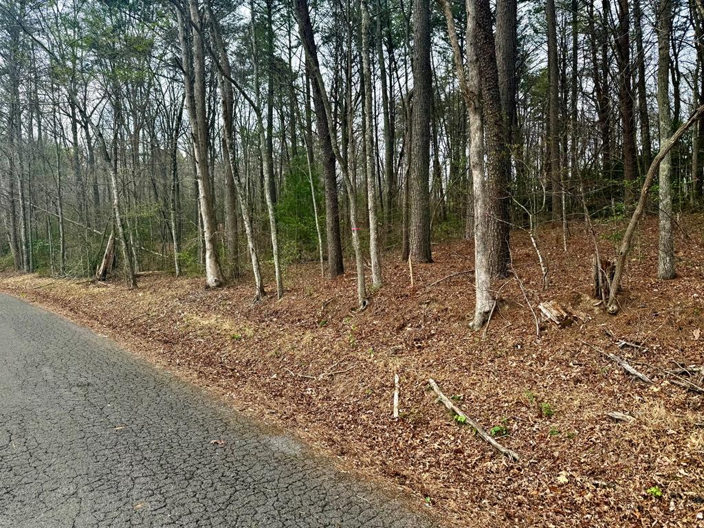 0 Hwy 68 Property Photo 1