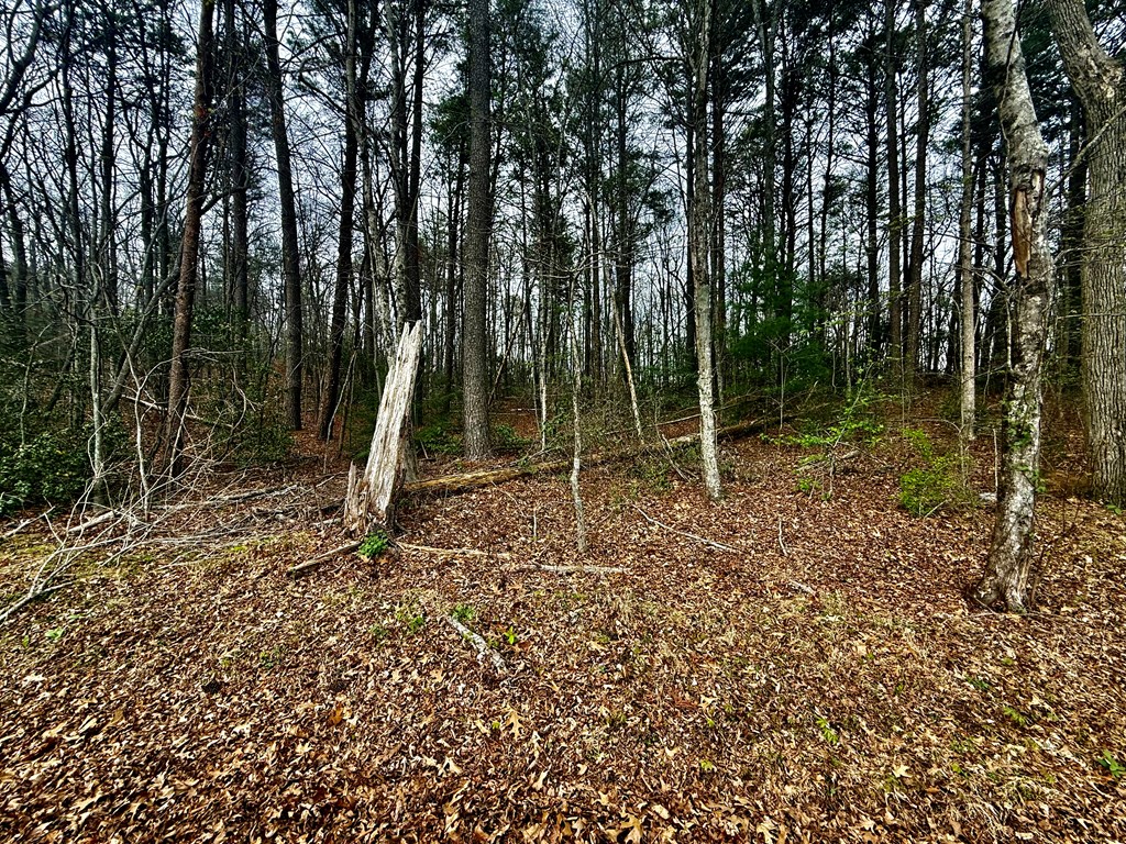 0 Hwy 68 Property Photo 2