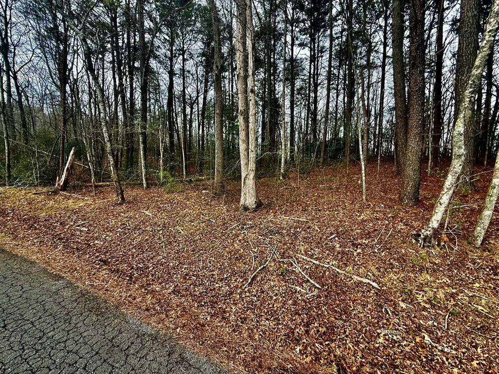 0 Hwy 68 Property Photo 3
