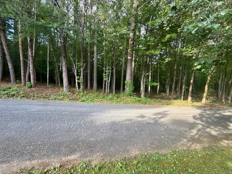 0 Hwy 68 Property Photo 1