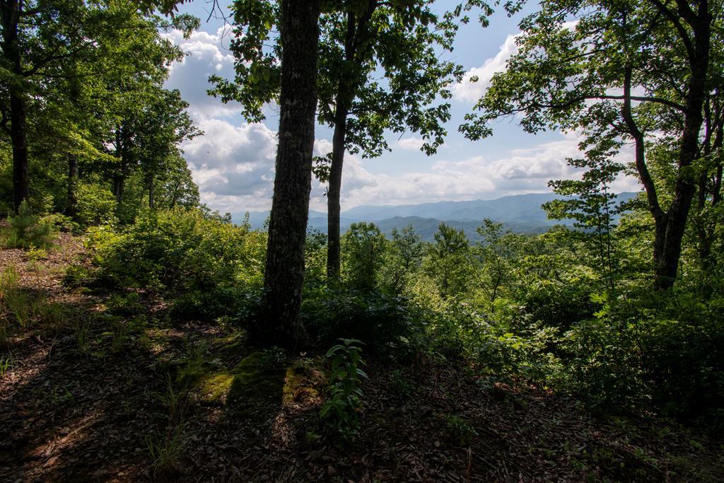 850 Bluff Road Property Photo 1