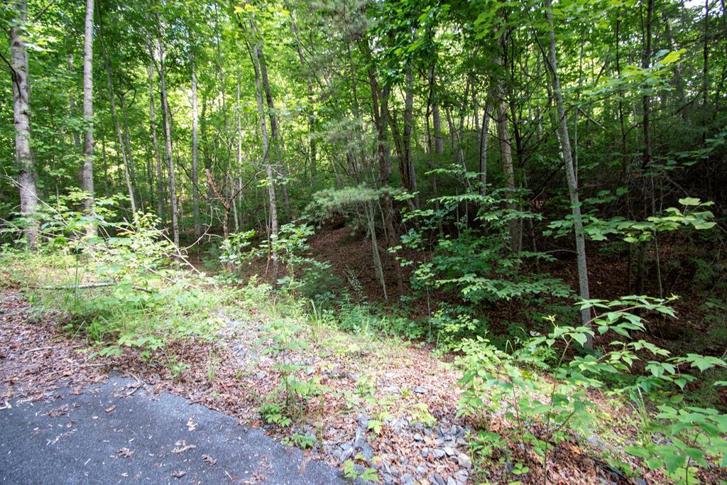 850 Bluff Road Property Photo 2