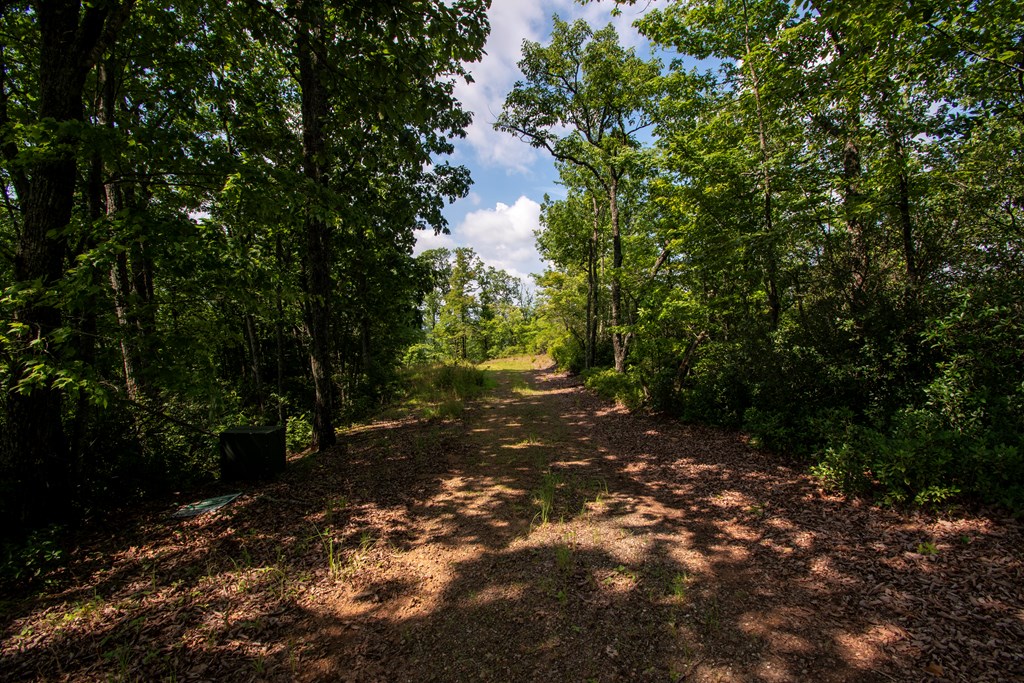 850 Bluff Road Property Photo 3