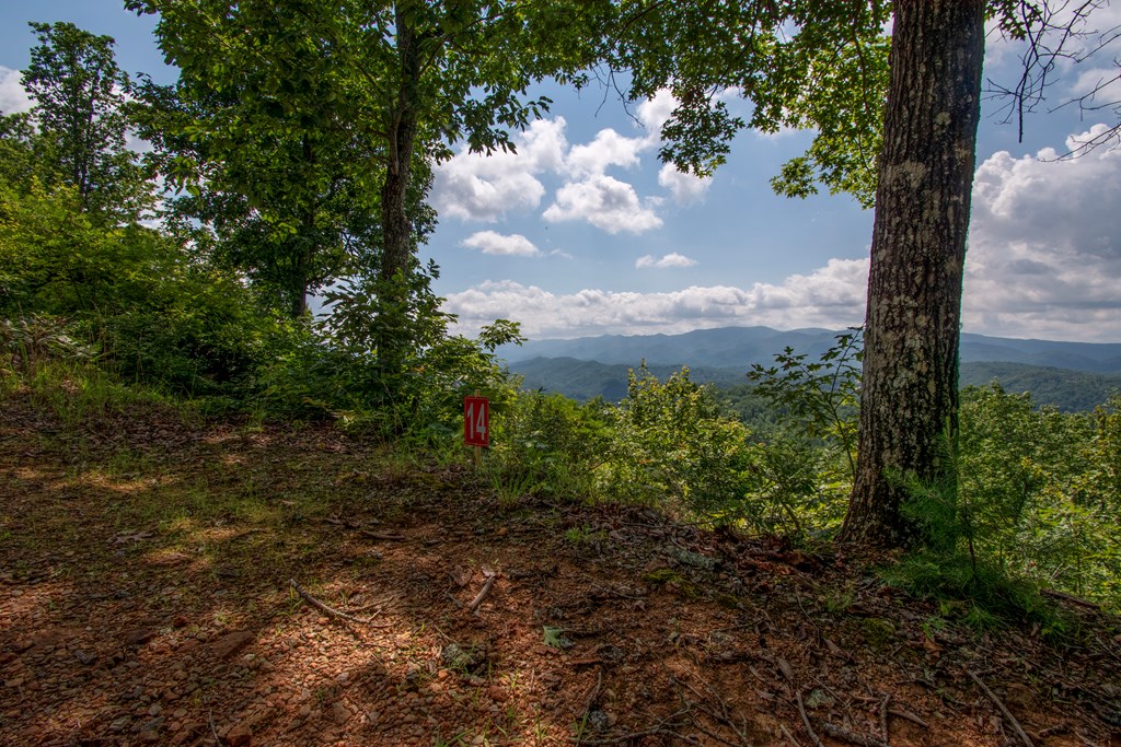 850 Bluff Road Property Photo 4
