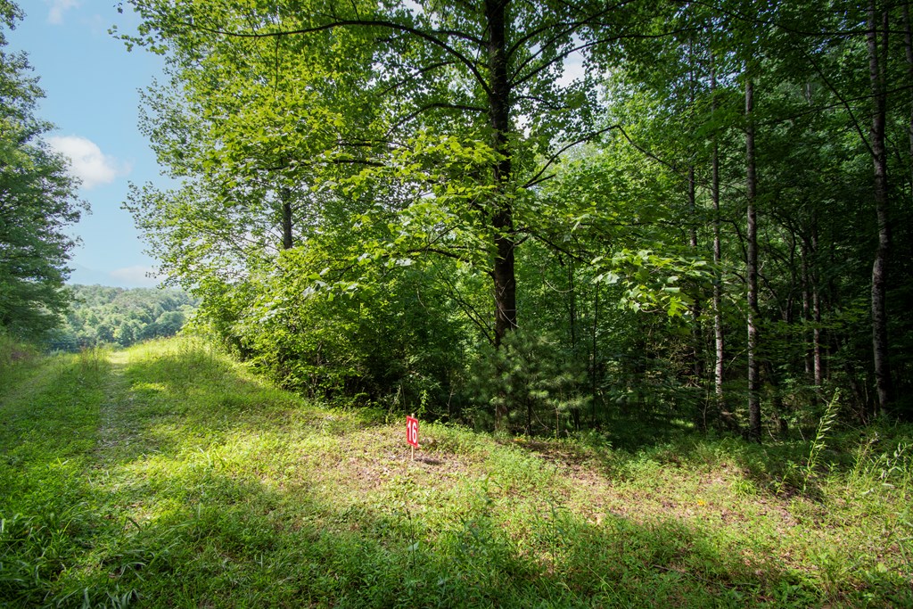 850 Bluff Road Property Photo 5