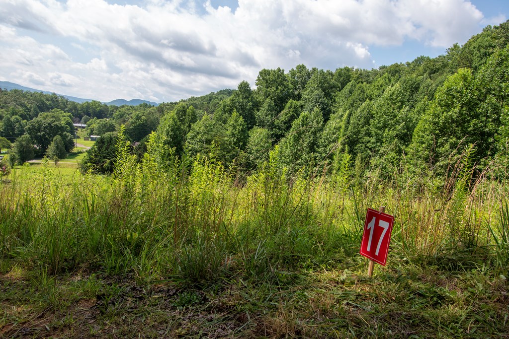 850 Bluff Road Property Photo 7