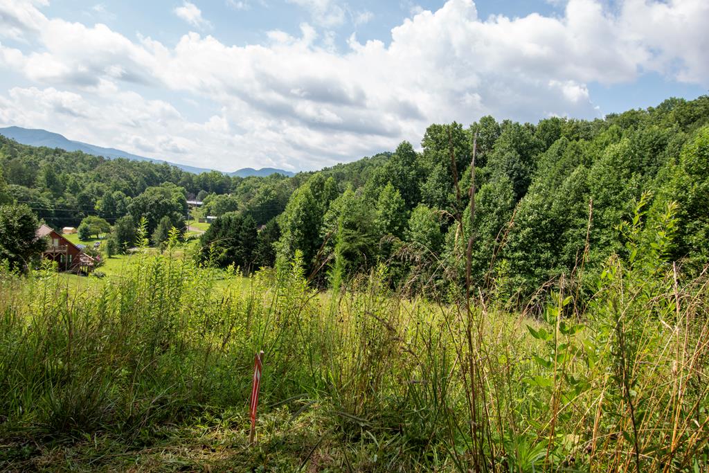 850 Bluff Road Property Photo 11