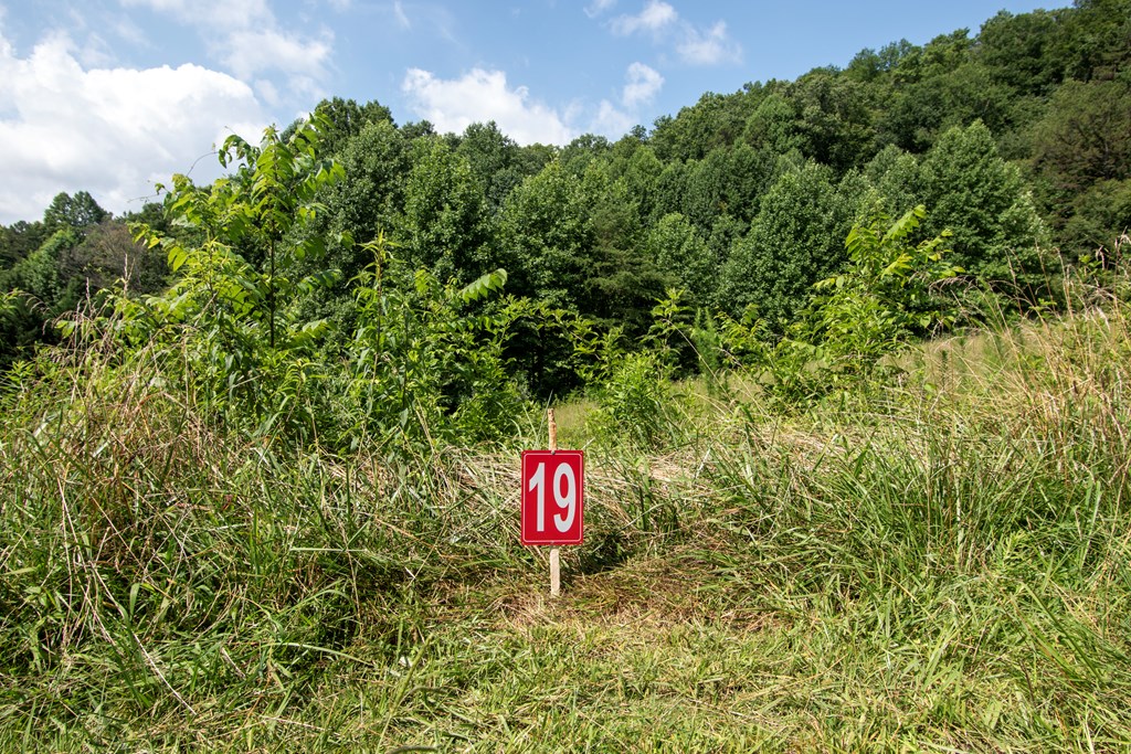 850 Bluff Road Property Photo 12