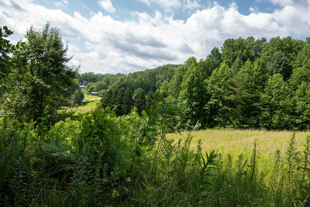 850 Bluff Road Property Photo 13
