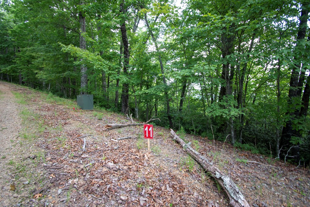 850 Bluff Road Property Photo 16