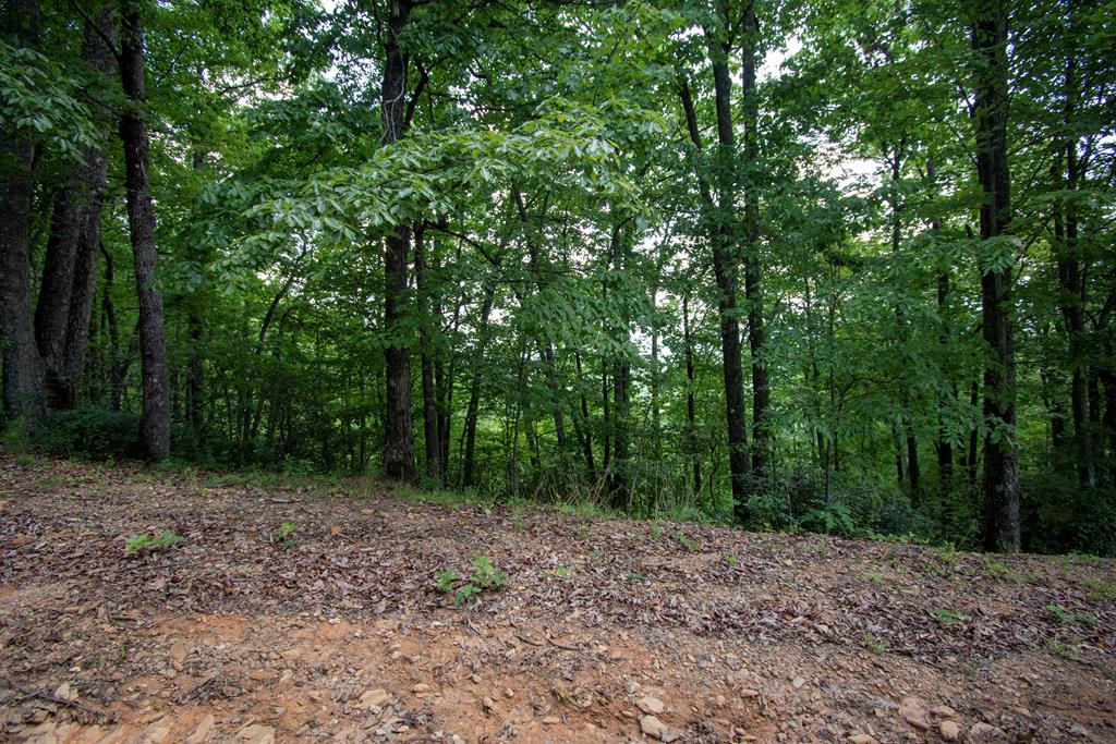 850 Bluff Road Property Photo 17