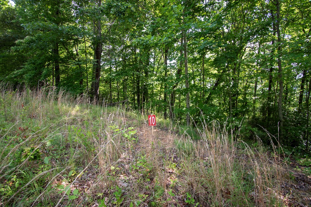 850 Bluff Road Property Photo 18