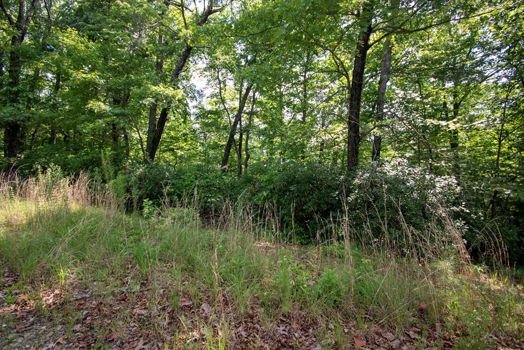 850 Bluff Road Property Photo 19