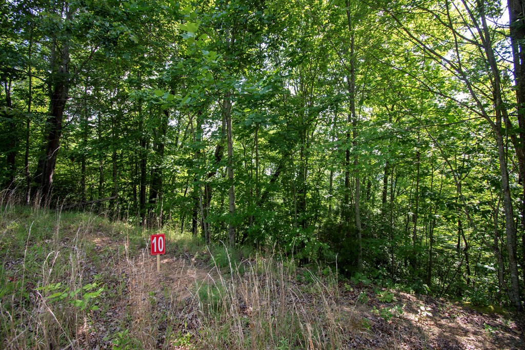 850 Bluff Road Property Photo 20
