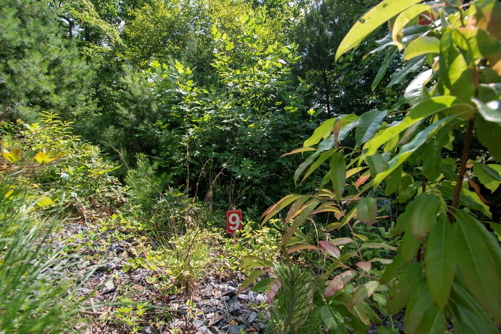 850 Bluff Road Property Photo 21