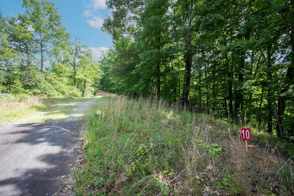 850 Bluff Road Property Photo 22