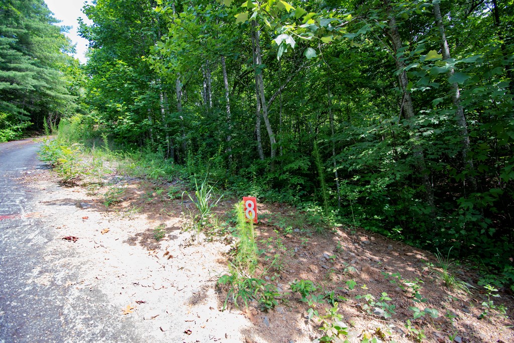 850 Bluff Road Property Photo 23