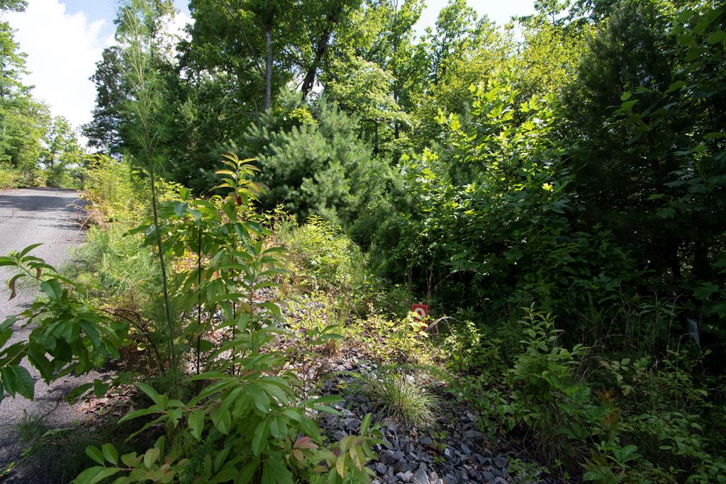 850 Bluff Road Property Photo 24