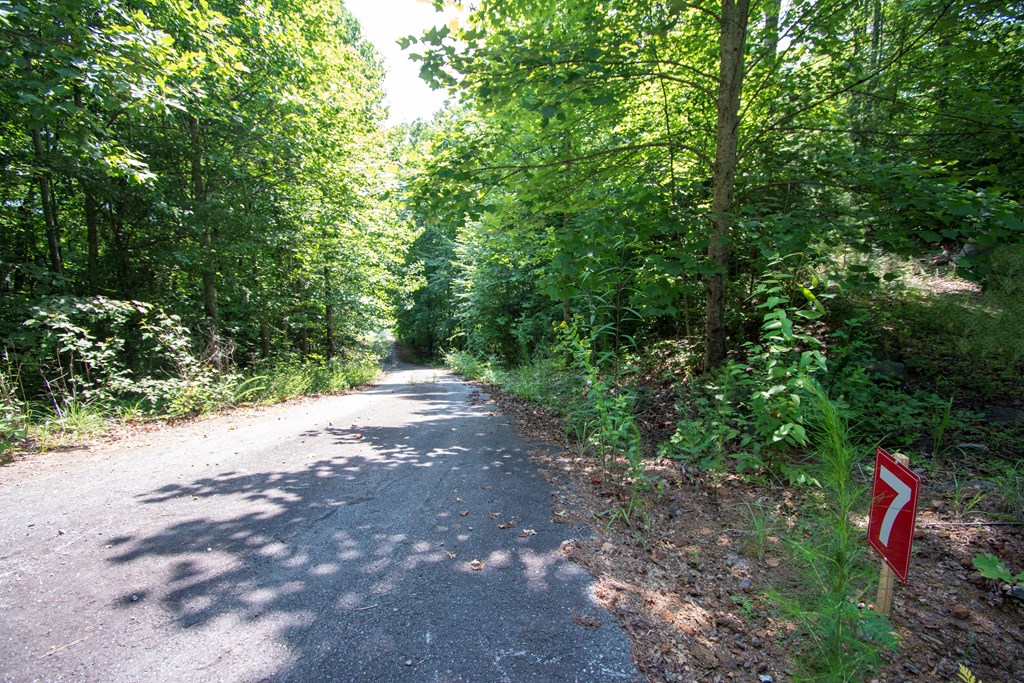 850 Bluff Road Property Photo 25