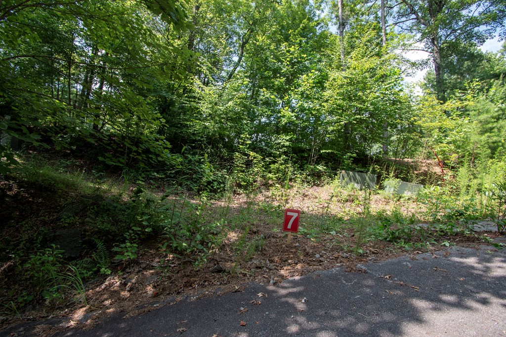 850 Bluff Road Property Photo 28