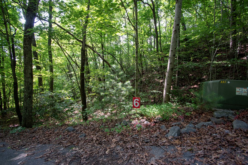 850 Bluff Road Property Photo 29