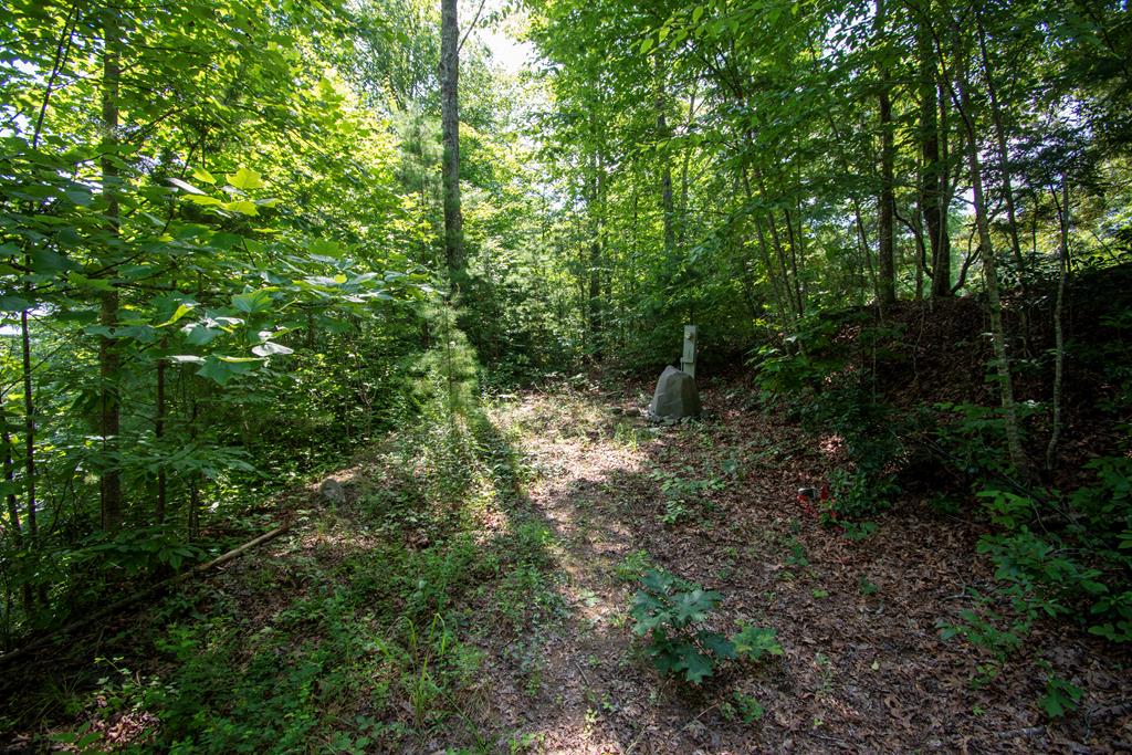 850 Bluff Road Property Photo 30