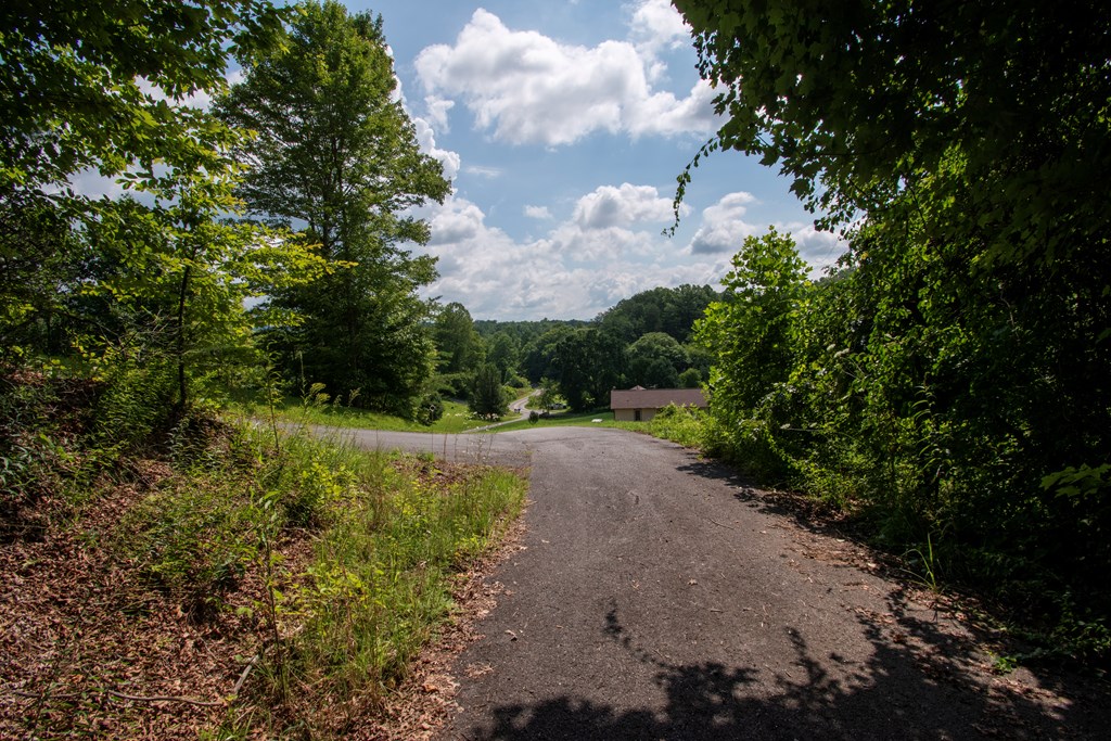 850 Bluff Road Property Photo 31