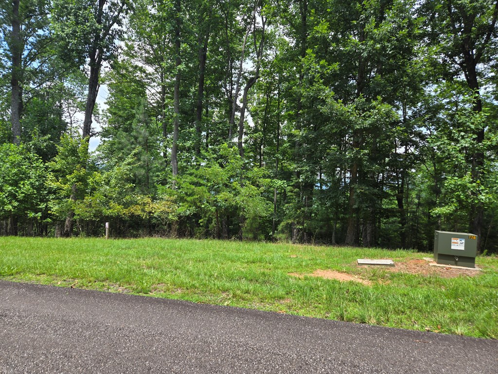 Lt 95 Thirteen Hundred Property Photo 3