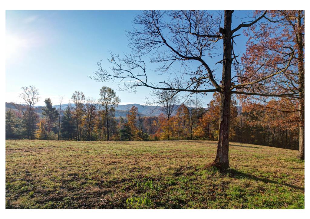 2086 Burnt Mountain Road Property Photo 10