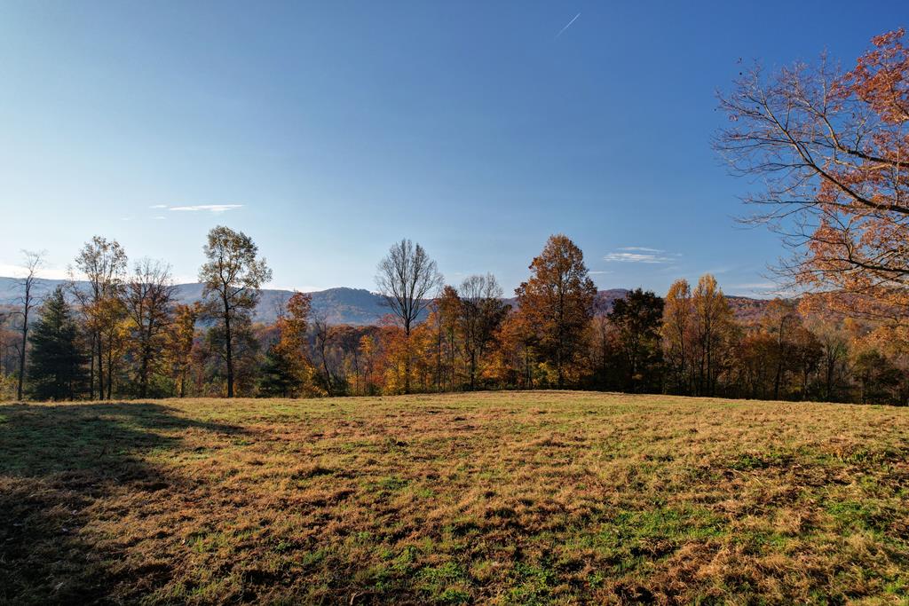 2086 Burnt Mountain Road Property Photo 132