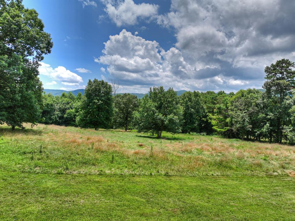 2086 Burnt Mountain Road Property Photo 141