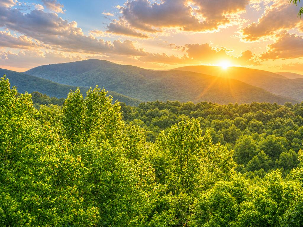 2086 Burnt Mountain Road Property Photo 144