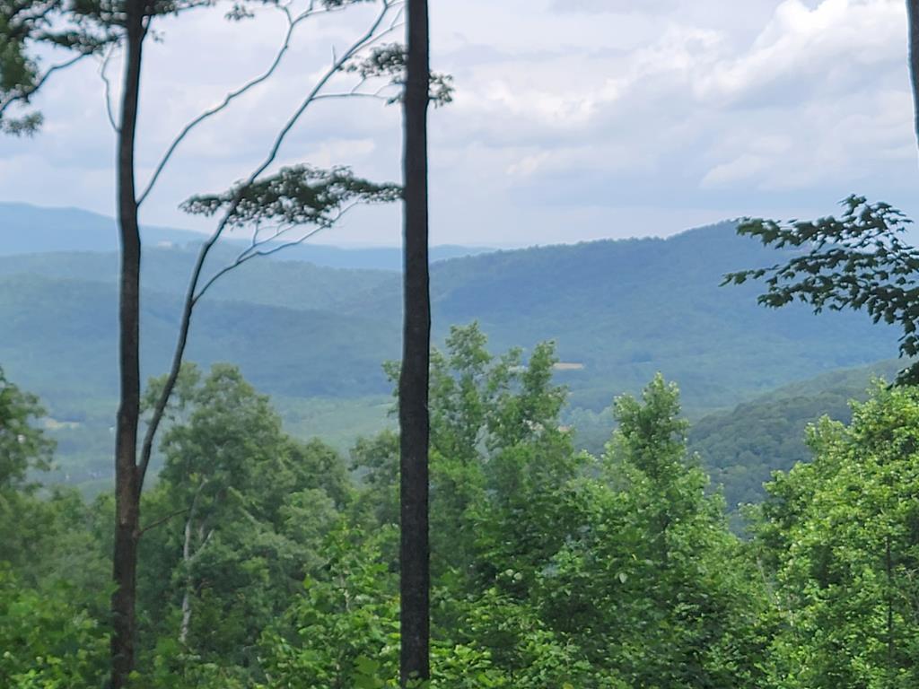 81 Hidden Mountain Property Photo 1
