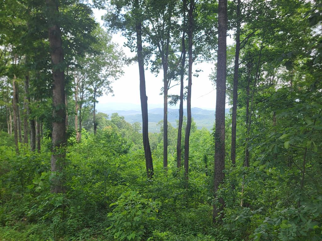 81 Hidden Mountain Property Photo 2