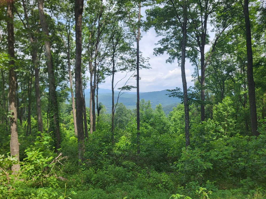 81 Hidden Mountain Property Photo 3