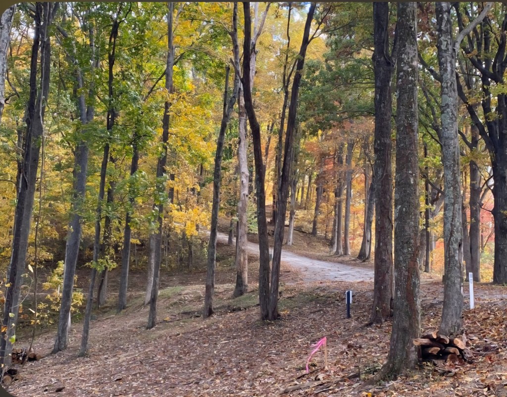 81 Hidden Mountain Property Photo 4