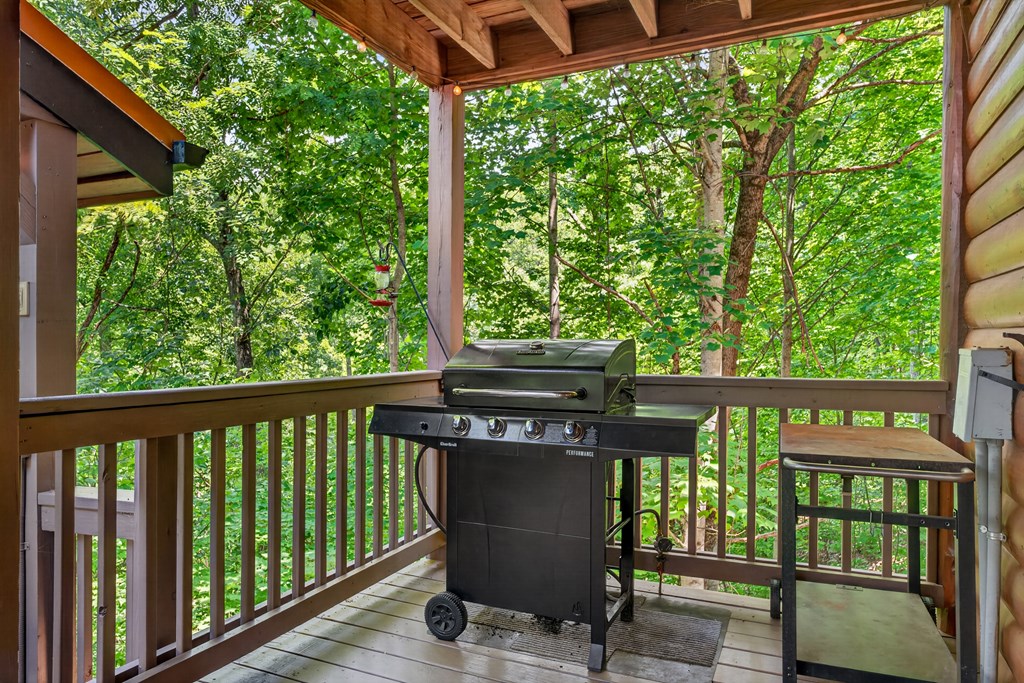 573 Weaver Creek Way Property Photo 6