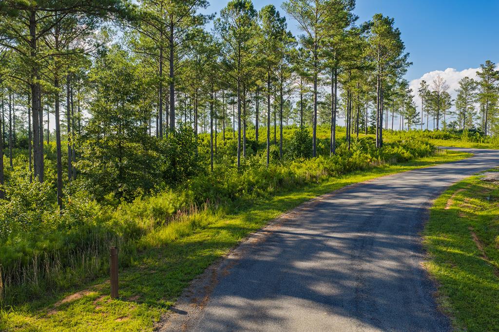 Lot 68 High River Road Property Photo 1