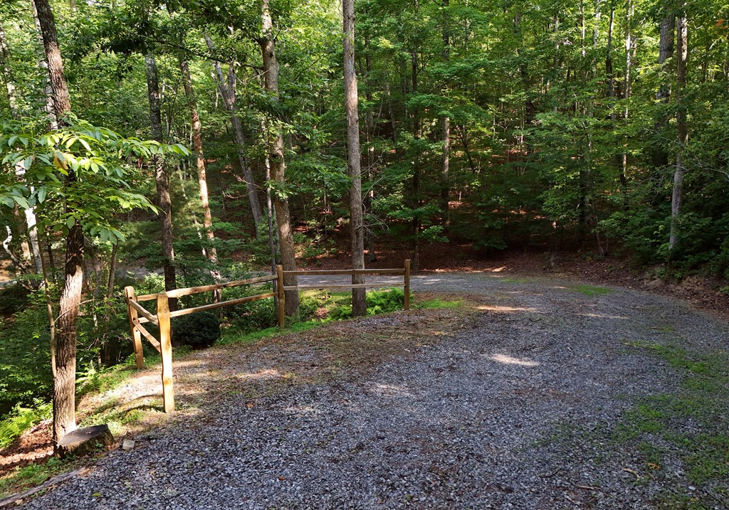 260 Jason Martin Circle Property Photo 7
