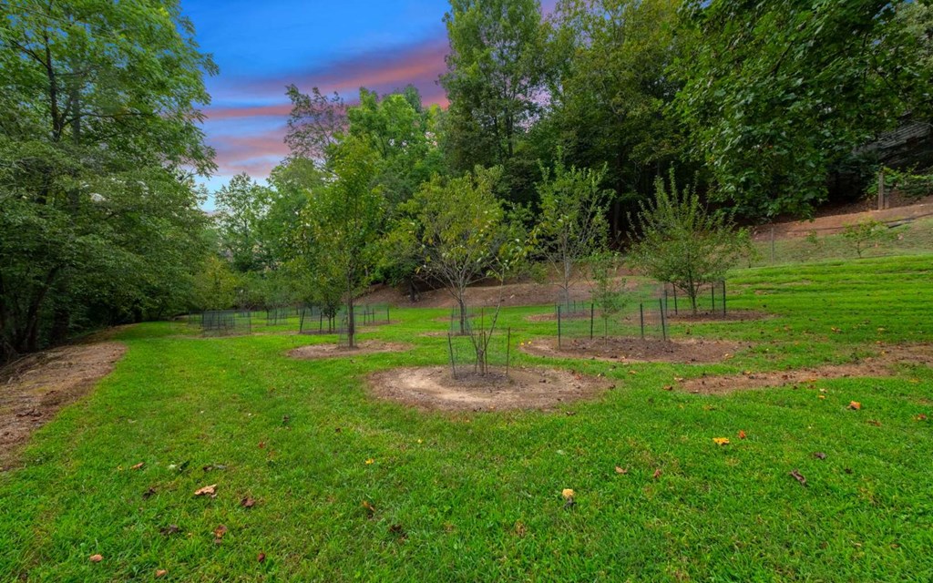 2579 State Hwy 66 Property Photo 40