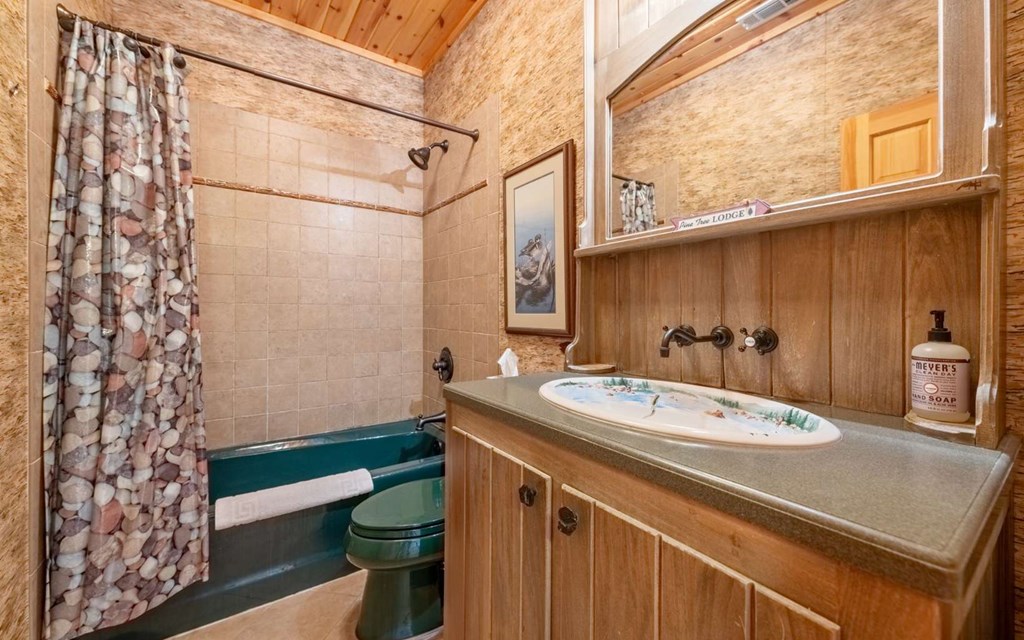 2579 State Hwy 66 Property Photo 61