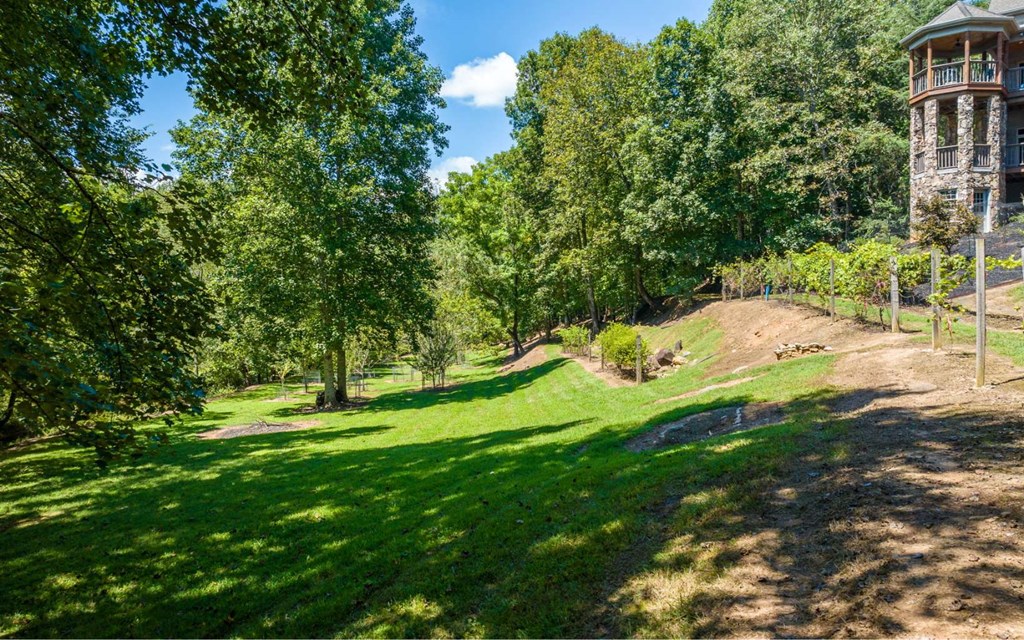 2579 State Hwy 66 Property Photo 71