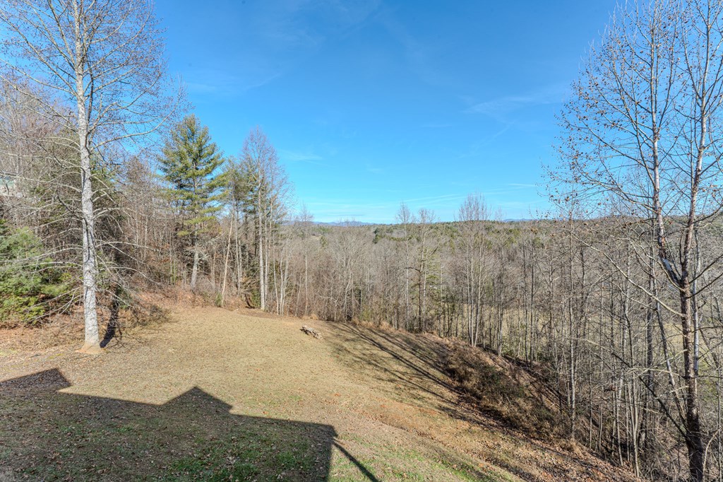 126 River Top View Property Photo 17